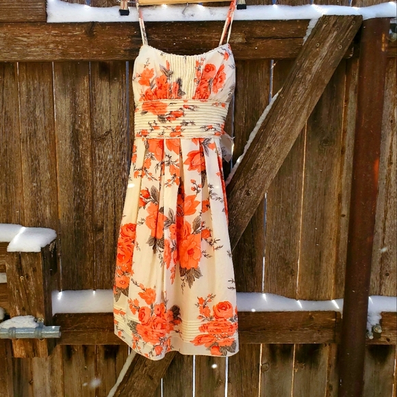 Sundress - Picture 1 of 5